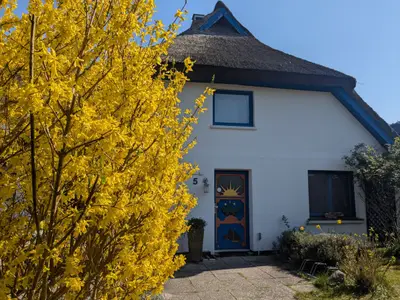 Ferienhaus für 4 Personen (70 m²) in Born am Darß 1/10