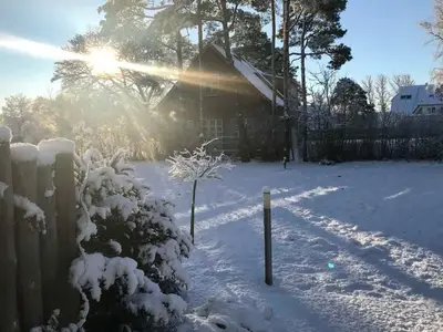Ferienhaus für 6 Personen (120 m²) in Born am Darß 5/10
