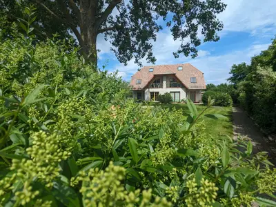 Ferienhaus für 6 Personen (94 m²) in Born am Darß 2/10