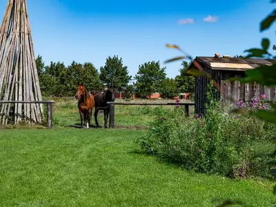 Ferienhaus für 8 Personen (125 m²) in Born am Darß 4/10