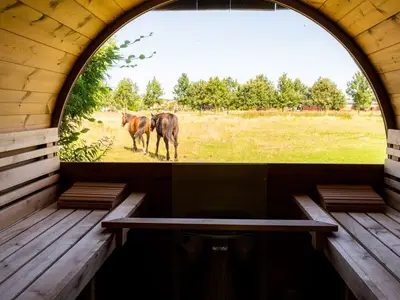 Ferienhaus für 8 Personen (125 m²) in Born am Darß 8/10
