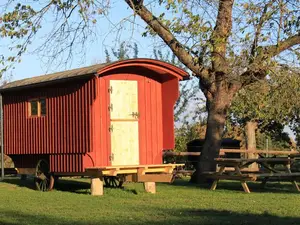 Ferienhaus für 3 Personen (8 m²) in Wyhra