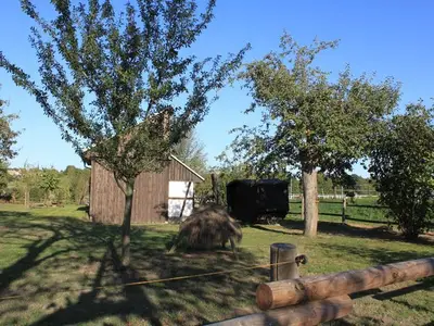 Ferienhaus für 3 Personen (8 m²) in Wyhra 8/10