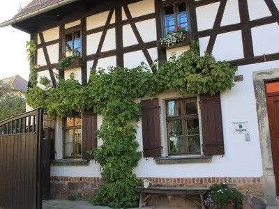 Ferienhaus für 3 Personen (8 m²) in Wyhra 9/10