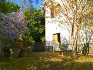 Der Garten mit Glyzinien