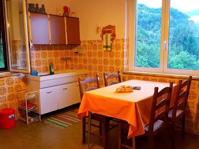 Die Küche, mit 2 Fenstern