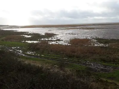 WaterView