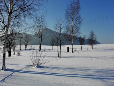 GardenWinter