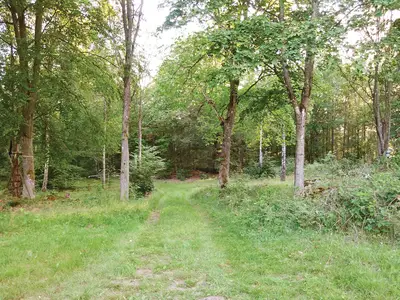 outside