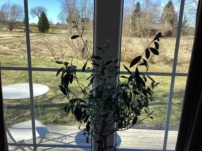 Indoor