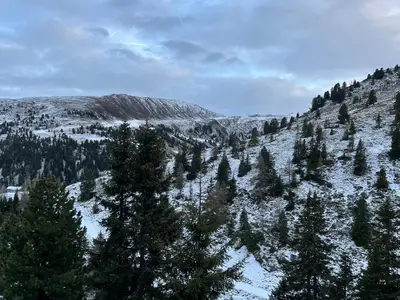 AreaWinter1KM