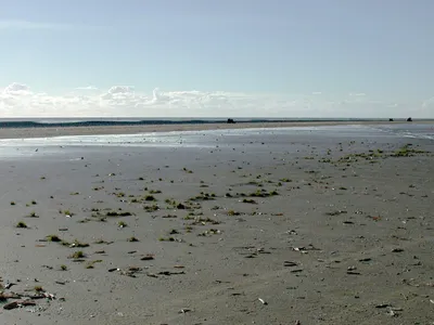 WaterView
