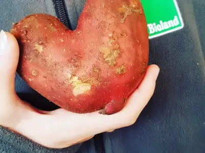 Wir sind ein Bioland-Betrieb!