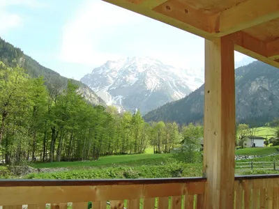 ViewSummer