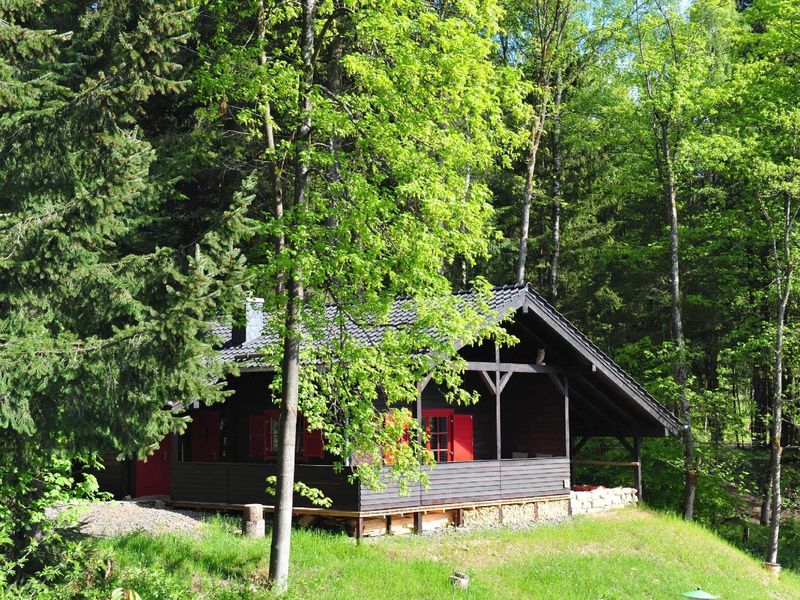 22424991-Ferienhaus-4-Braunlage-800x600-1