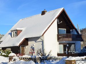 Ferienhaus für 15 Personen (250 m²) in Braunlage