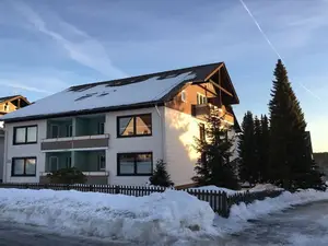 Ferienhaus für 5 Personen (42 m²) in Braunlage