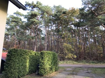 Ferienhaus für 6 Personen (70 m²) in Breege 3/10