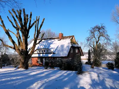Ferienhaus für 8 Personen (200 m²) in Breiholz 3/10