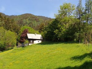 22401697-Ferienhaus-4-Breitenau am Hochlantsch-300x225-2