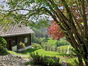 22401697-Ferienhaus-4-Breitenau am Hochlantsch-300x225-3