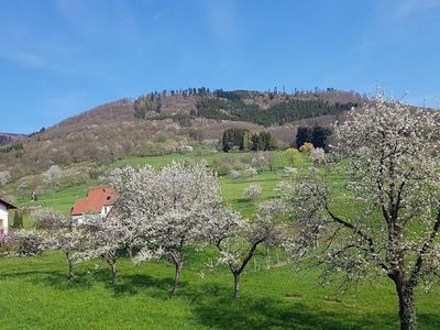 Ausblick aus dem Fenster