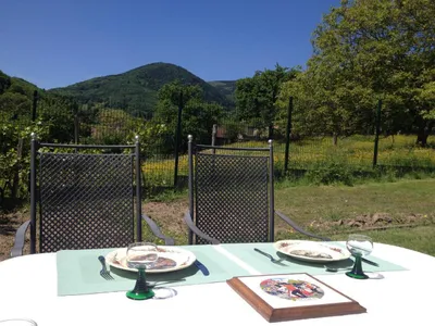 Terrasse 1 Sud