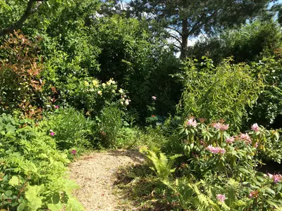 Frühling im Garten