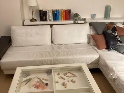 Ferienhaus für 6 Personen (128 m²) in Stadtgemeinde Bremen 10/10