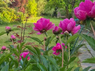 Garten