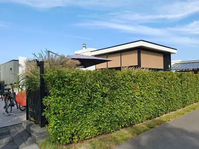 Ferienhaus für 4 Personen (78 m²) in Breskens 8/10