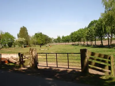 Ferienhaus für 4 Personen (30 m²) in Brinkum 4/10