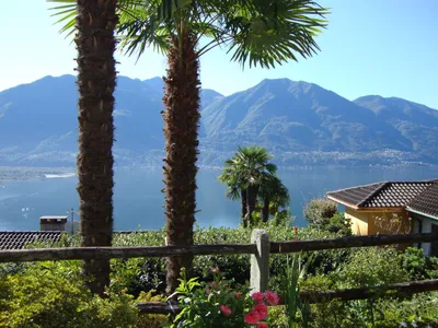Bild 8
