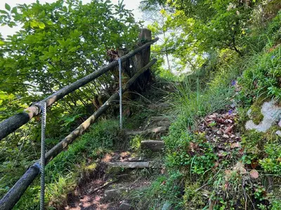 Bild 7