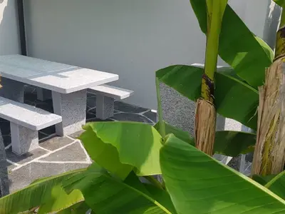 Ferienhaus für 6 Personen (130 m²) in Brissago 7/10