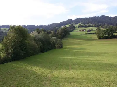ViewSummer