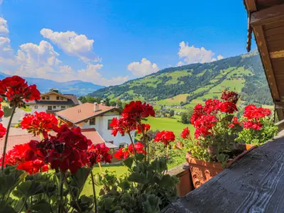 Terrasse / Balkon
