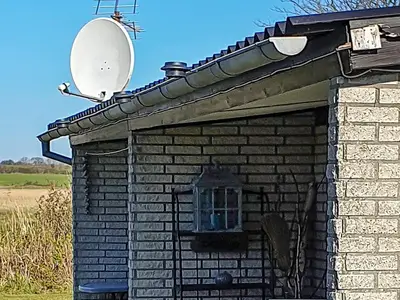 Outdoor