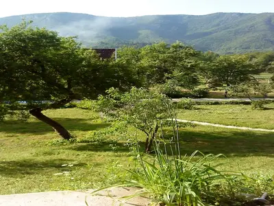 ViewSummer