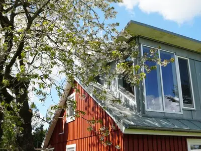 Ferienhaus für 4 Personen (95 m²) in Brodersby 8/10