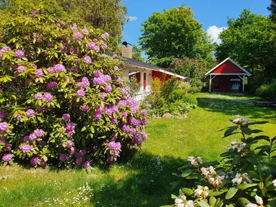 Ferienhaus für 4 Personen (70 m²) in Brodersby 1/10