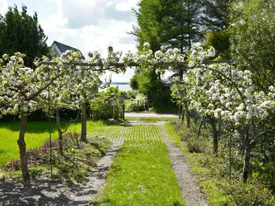 Ferienhaus für 4 Personen (49 m²) in Brodersby 2/10