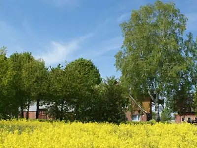 Ferienhaus für 4 Personen (65 m²) in Brodersby (Schwansen) 3/10