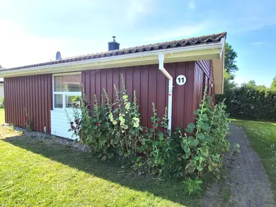 Ferienhaus für 6 Personen (72 m²) in Brodersby (Schwansen) 2/10