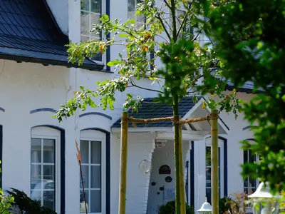 Ferienhaus für 4 Personen (70 m²) in Brodersby (Schwansen) 9/10