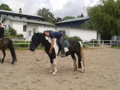 Ferienhaus für 4 Personen (70 m²) in Brodersby (Schwansen) 10/10