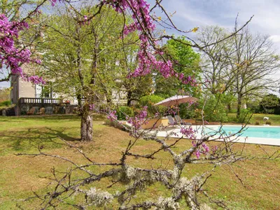 Pool des Ferienhauses
