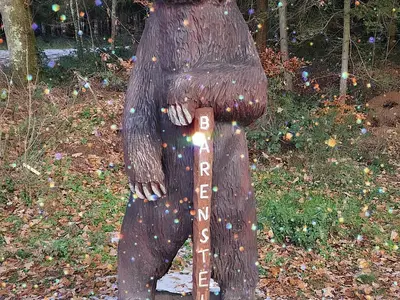 Ferienhaus für 6 Personen (130 m²) in Bruchweiler-Bärenbach 3/10