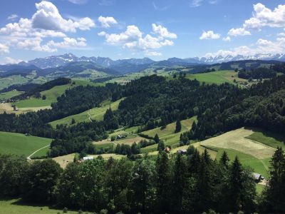 Ferienhaus für 4 Personen (45 m²) in Brunnadern 9/10