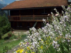 22477551-Ferienhaus-7-Buchen im Prättigau-300x225-1